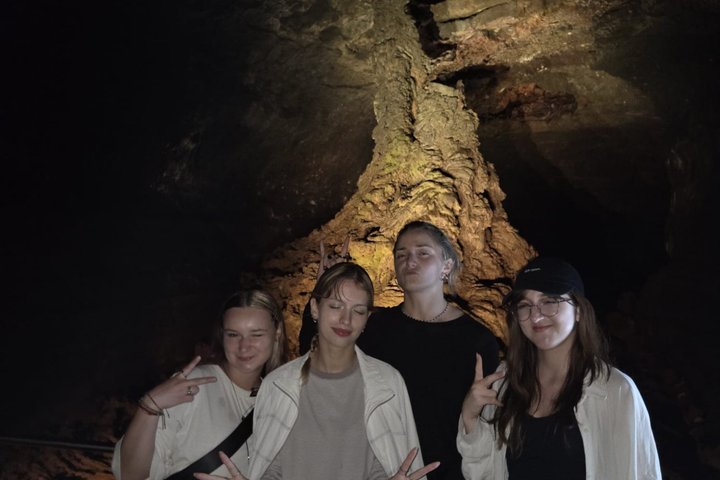 Jeju Island Private Taxi Tour : 2 Full days