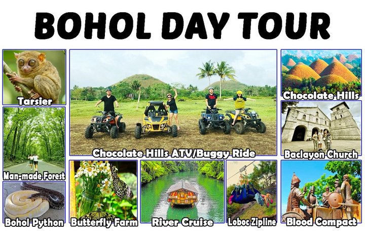 Bohol Countryside Tour: Chocolate Hills, Tarsier & Loboc River