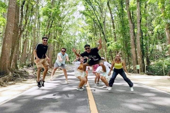 Bohol Countryside Tour: Chocolate Hills, Tarsier & Loboc River
