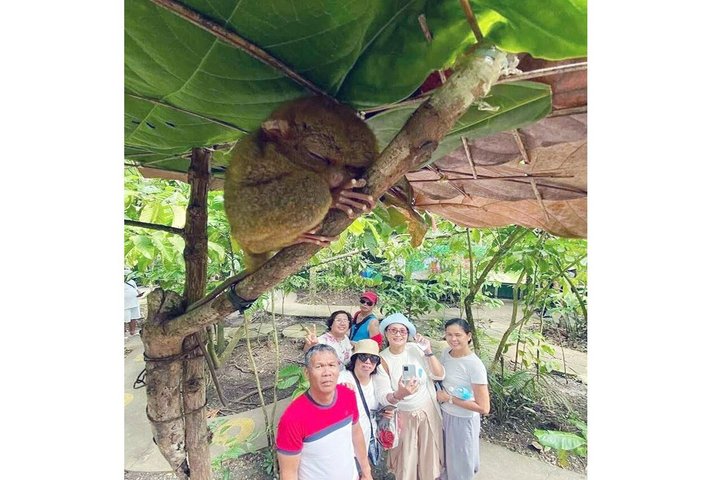 Bohol Countryside Tour: Chocolate Hills, Tarsier & Loboc River