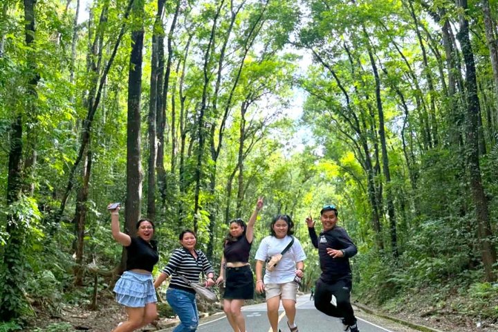 Bohol Countryside Tour: Chocolate Hills, Tarsier & Loboc River