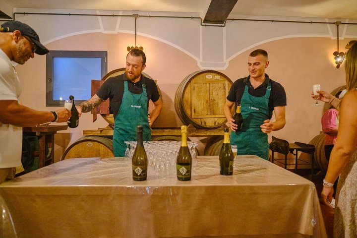 Pisa, Siena, San Gimignano with Lunch & Wine Tasting at a Winery