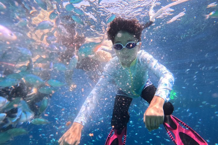 Bohol Balicasag Snorkeling and Virgin Island Hopping with Lunch
