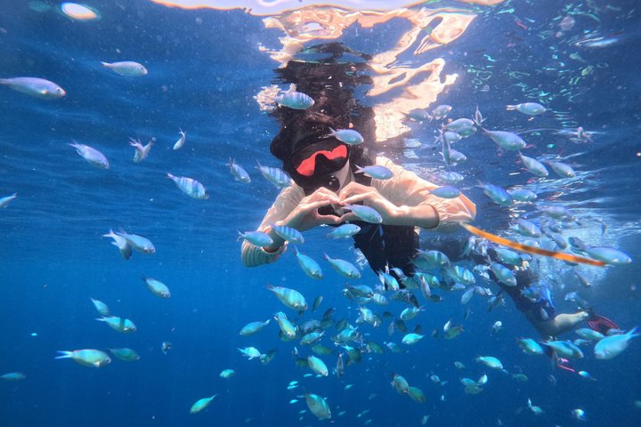 Bohol Balicasag Snorkeling and Virgin Island Hopping with Lunch