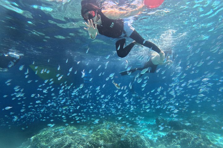 Bohol Balicasag Snorkeling and Virgin Island Hopping with Lunch