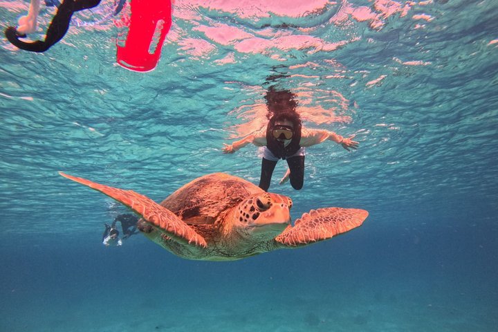 Bohol Balicasag Snorkeling and Virgin Island Hopping with Lunch