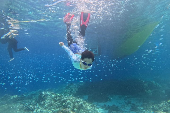Bohol Balicasag Snorkeling and Virgin Island Hopping with Lunch