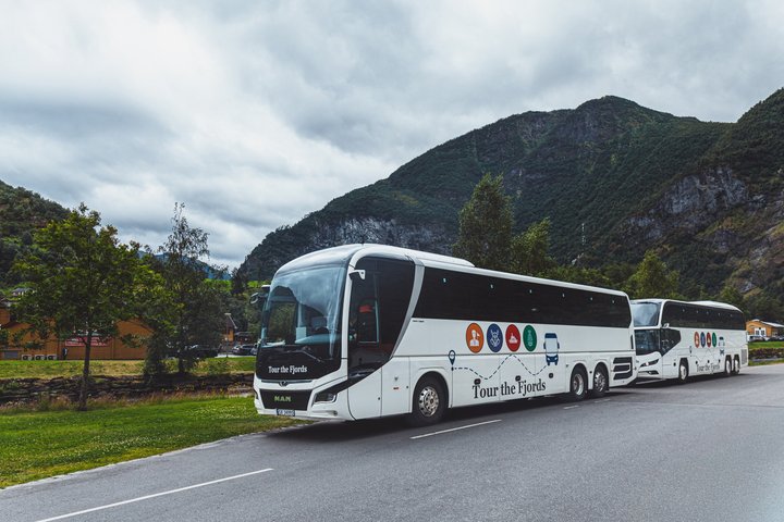 Guided tour - Viking Village, Nærøyfjord Cruise and Flåm Railway