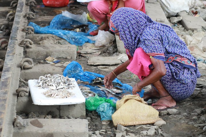 Private Full Day Tour in Dhaka City