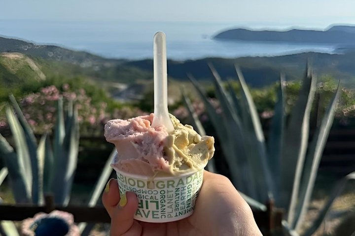 Taste Elba: Organic Food, Wine & Sea Views