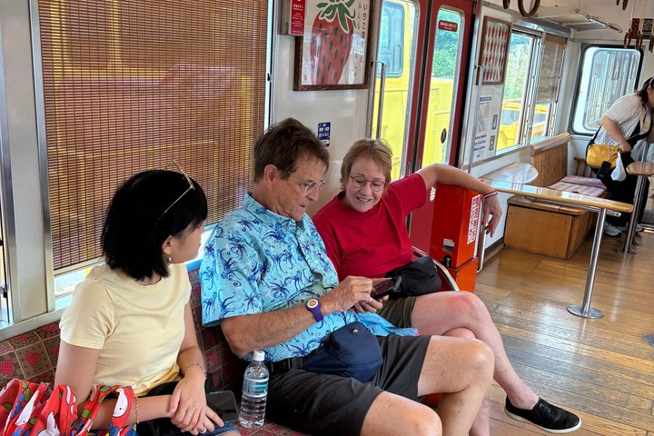 Local Train with Cat Stationmaster and Wakayama Highlights