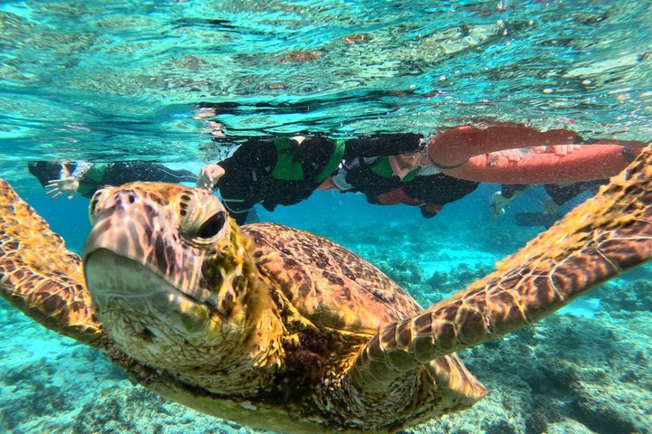 Bohol Balicasag Snorkeling and Virgin Island Hopping with Lunch