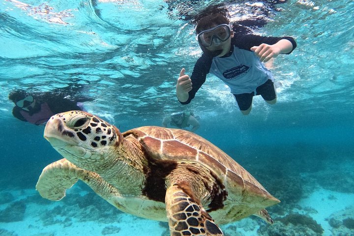 Bohol Balicasag Snorkeling and Virgin Island Hopping with Lunch
