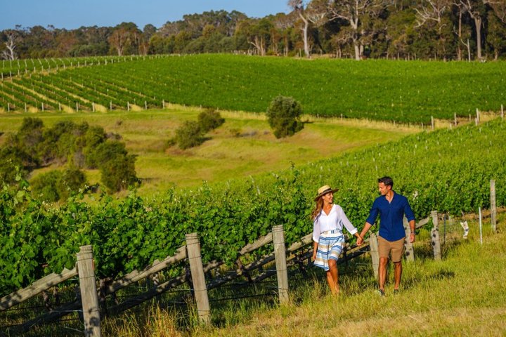 Margaret River Wine Tour: Self-Guided GPS Audio Guide