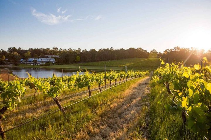 Margaret River Wine Tour: Self-Guided GPS Audio Guide