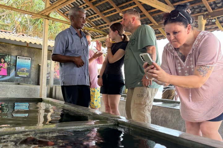 Southern Sri Lanka Sightseeing Day Trip From Colombo & Negombo