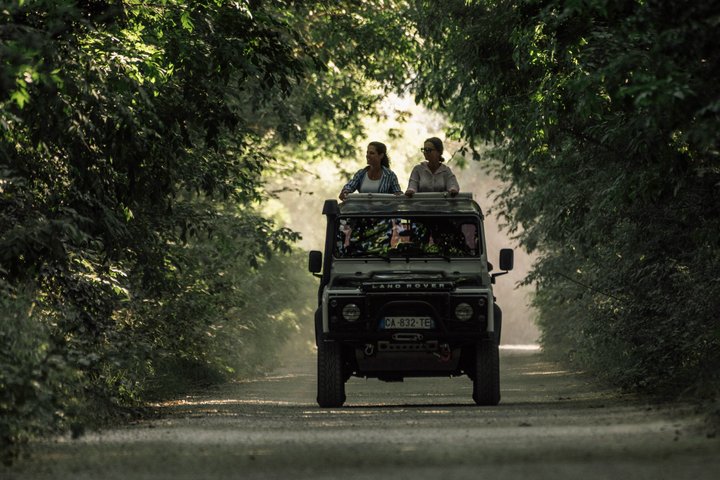 4x4 Camargue Safari 4h - Departure from Arles