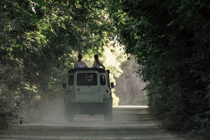 4x4 Camargue Safari 4h - Private Tour - Departure from Arles