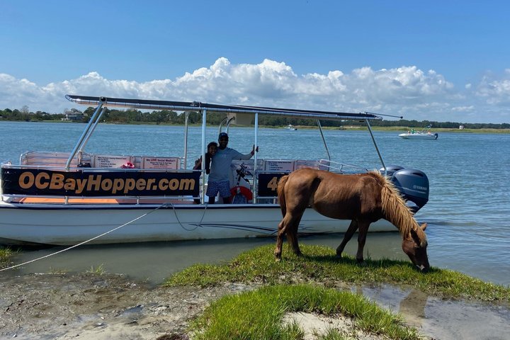 OC Bay Hopper - Assateague Island Cruise