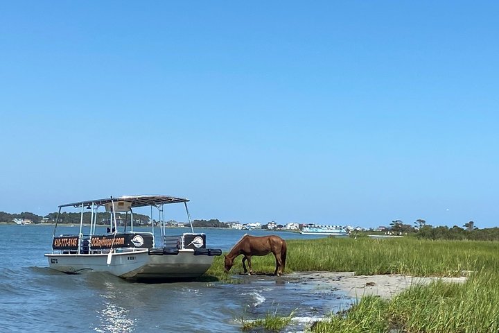 OC Bay Hopper - Assateague Island Cruise