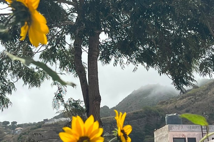 Tour of the island of Brava by van