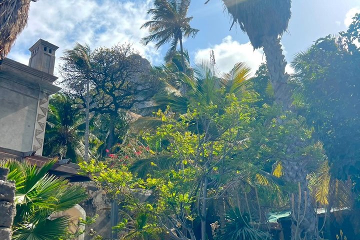 Tour of the island of Brava by van