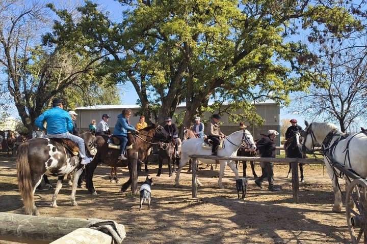 Gaucho Day Tour Ranch at an Estancia from Buenos Aires