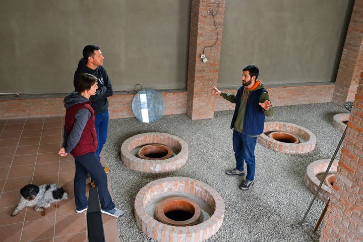 Kakheti - Small wineries and family-cooked lunch • Private tour