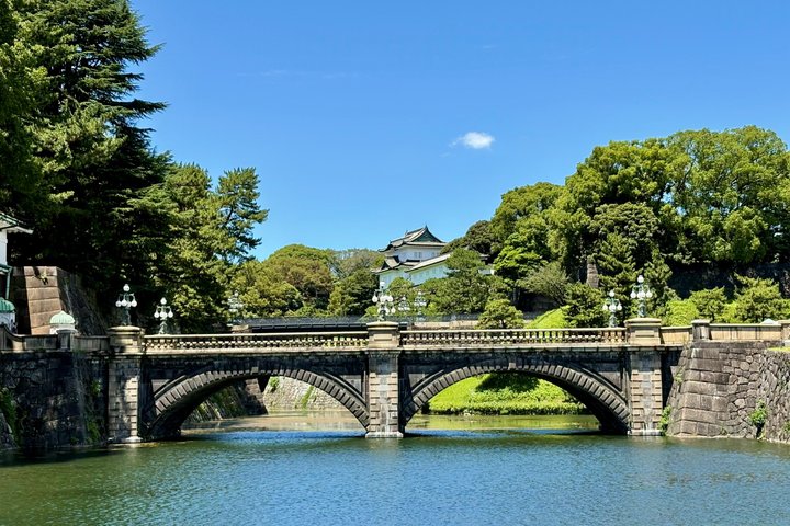 Tokyo Private Half-Day Highlights Tour by Car with Guide