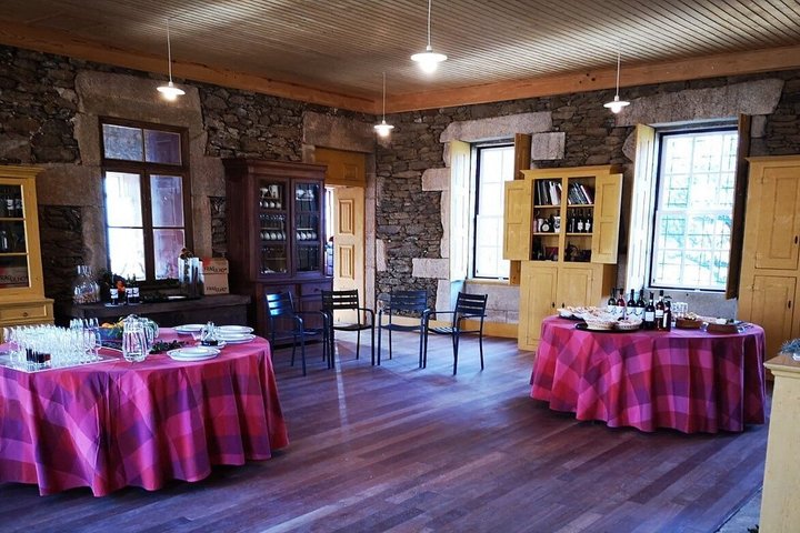 Douro Valley Wine Tour (hosted by the winemakers)