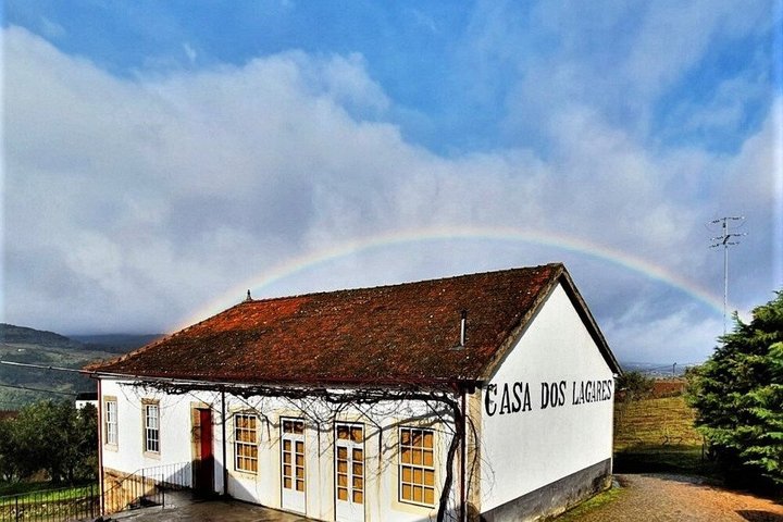 Douro Valley Wine Tour (hosted by the winemakers)