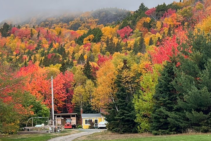 Cabot Trail, Ingonish Sceneic Small Group Tour Cape Breton Island