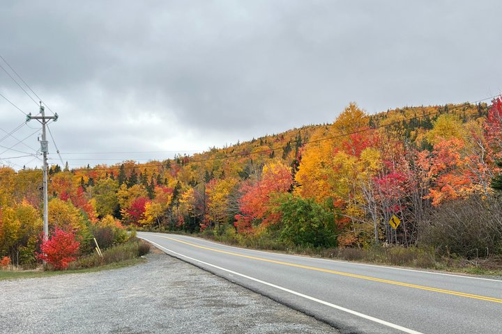 Cabot Trail, Ingonish Sceneic Small Group Tour Cape Breton Island