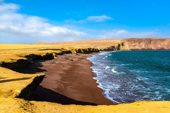 Full Paracas & Huacachina Day Trip from Lima: Sunset Experience