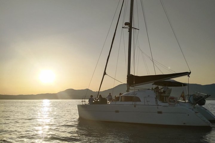 Dolphin trips on a catamaran