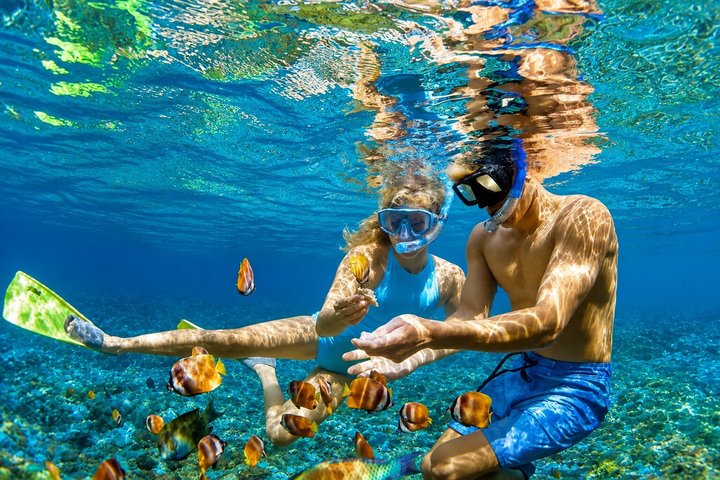 Snorkeling Sugar Beach St Lucia With Mud Bath & WaterFall Tour