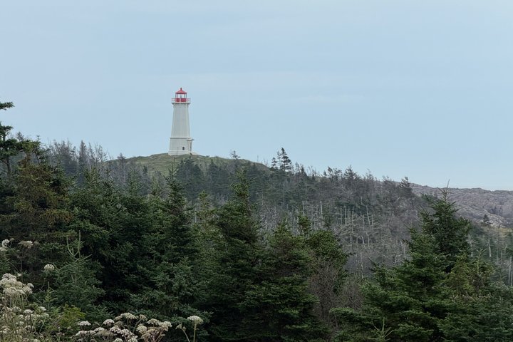 Louisbourg Fortress & Lighthouse Tour from Sydney Cape Breton