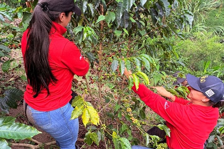 Agroecological coffee farm experience