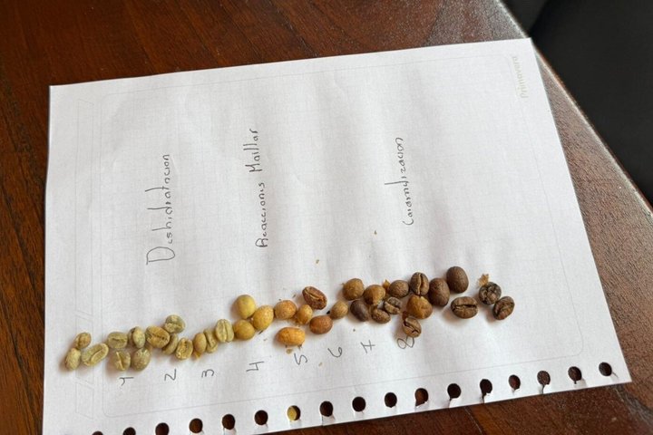 Agroecological coffee farm experience