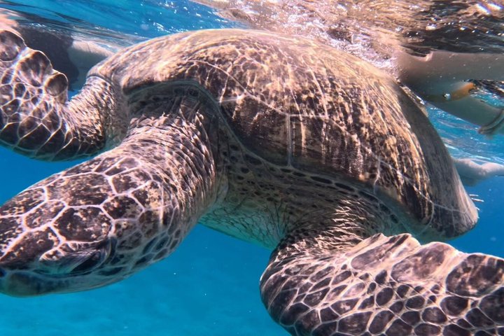 Sharm El Naga Full Day Snorkeling with Turtles & Lunch – Hurghada