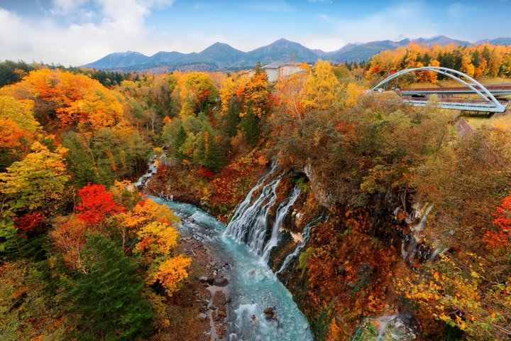 [Late Departure] Biei Best 5 Must-Visit Day Tour from Sapporo