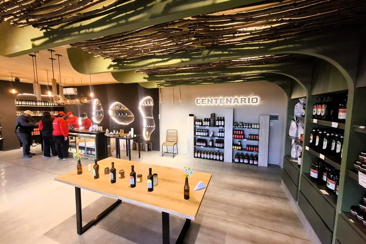 Excursión de 3 bodegas y 1 olivícola con degustación