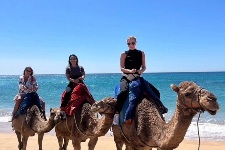 All inclusive Tangier Private day trip from Marbella or Malaga