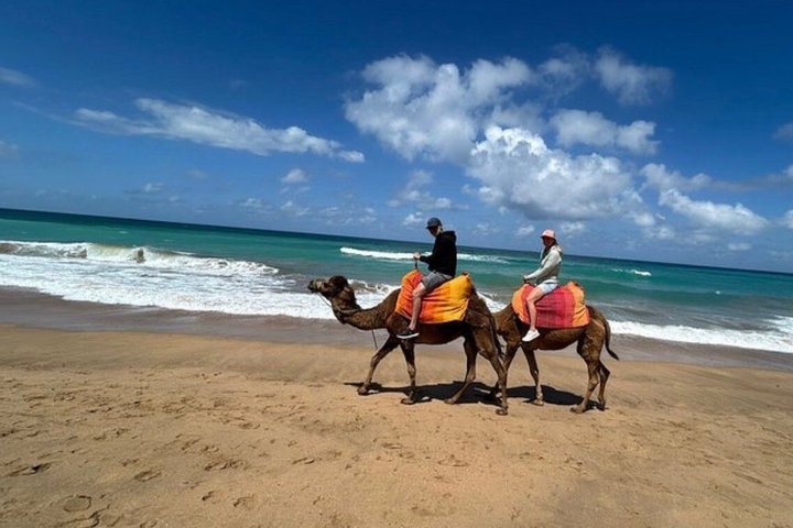 All inclusive Tangier Private day trip from Marbella or Malaga