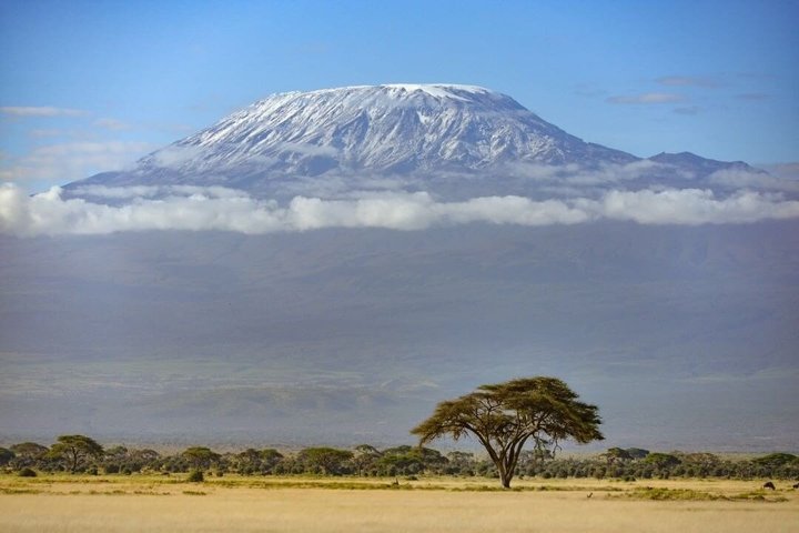 Amboseli Night Game Drives 4*4 Jeep