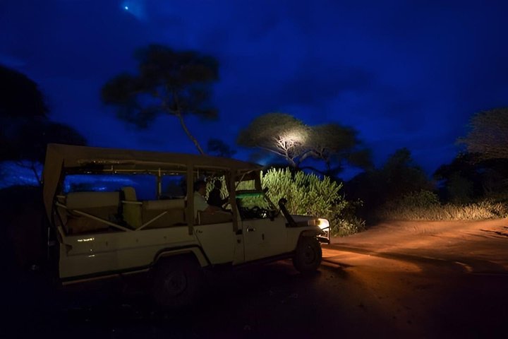 Amboseli Night Game Drives 4*4 Jeep