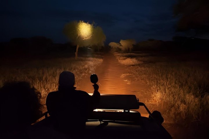 Amboseli Night Game Drives 4*4 Jeep