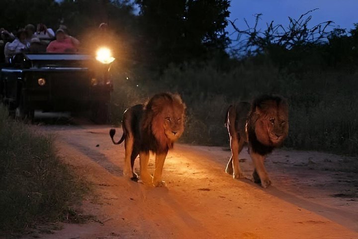 Amboseli Night Game Drives 4*4 Jeep