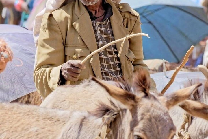 Addis Ababa Authentic Private City Tour