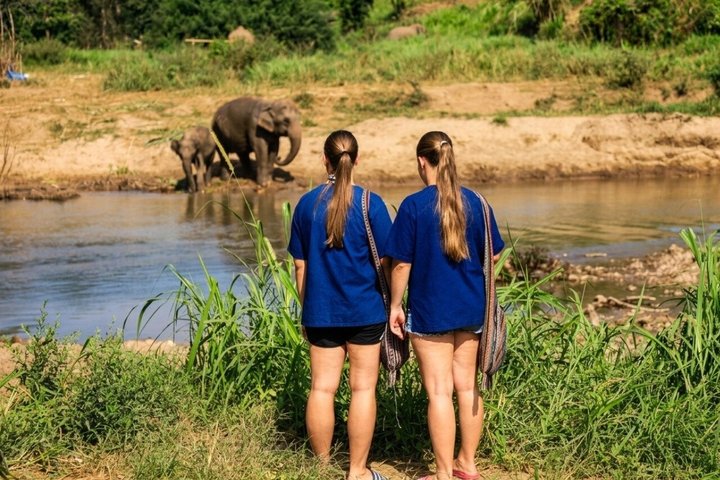 3-in-1: Doi Inthanon Tour, Elephant Sanctuary, and Trekking Trail